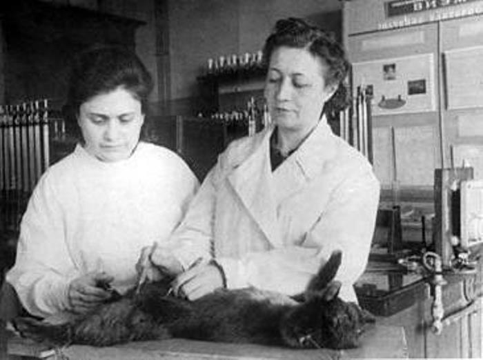 Ученый-микробиолог, чей вклад в науку неоценим | Фото: fb.ru Ученый-микробиолог, чей вклад в науку неоценим | Фото: fb.ru