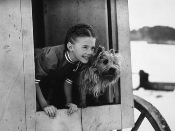 Юная голливудская звезда | Фото: liveinternet.ru Юная голливудская звезда | Фото: liveinternet.ru