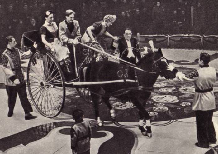 Кио на арене цирка | Фото: ruscircus.ru Кио на арене цирка | Фото: ruscircus.ru