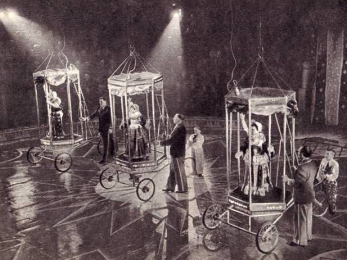 Кио на арене цирка | Фото: ruscircus.ru Кио на арене цирка | Фото: ruscircus.ru