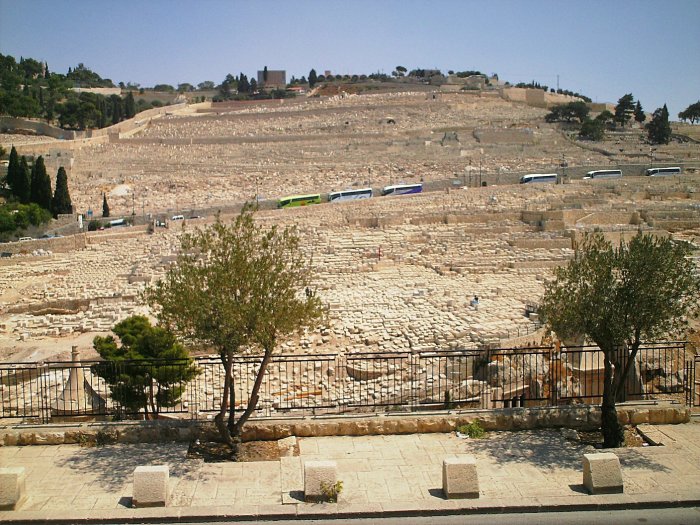 Елеонская гора сегодня. В древности она была усажена маслинами. Елеонская гора сегодня. В древности она была усажена маслинами.