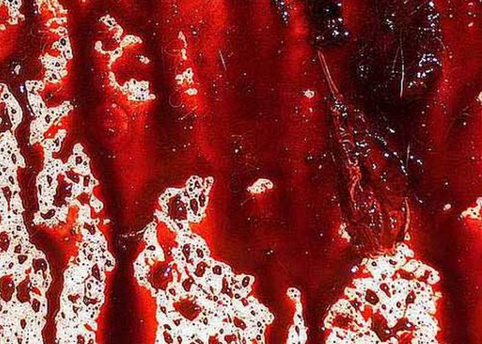 «Саломея»./ Фото: fedpress.ru «Саломея»./ Фото: fedpress.ru