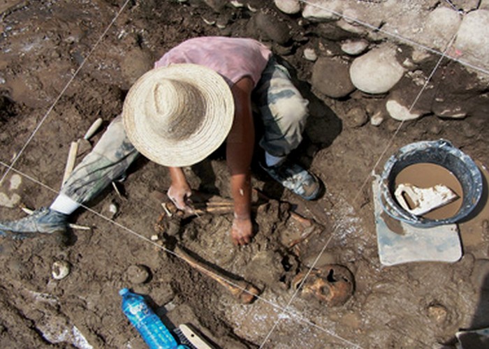 Следы 6000-летней бойни. Следы 6000-летней бойни.