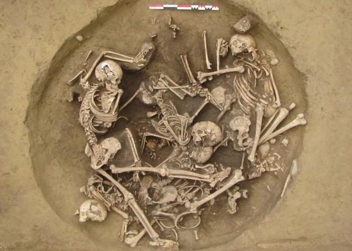 Раскопки, «Яма 157». Раскопки, «Яма 157».