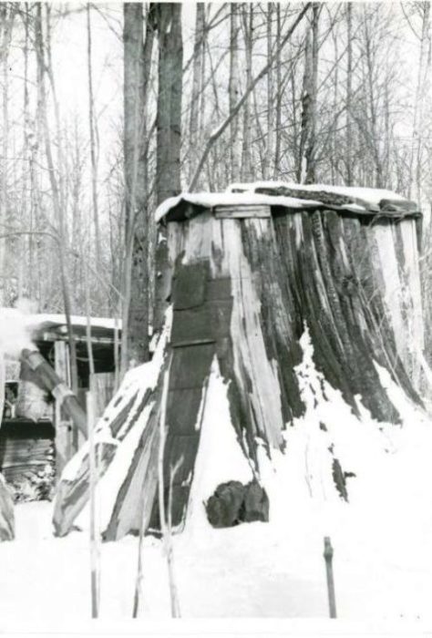 В таком доме вполне можно пережить суровую зиму. | Фото: historylink.org.