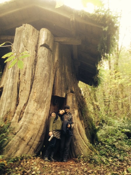 Дом в пне. Округ Пасифик, штат Вашингтон. | Фото: gatheringthestories.org.