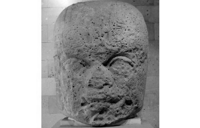 Голова №7 из Сан-Лоренцо в Музее антропологии в Халапе. Голова №7 из Сан-Лоренцо в Музее антропологии в Халапе.