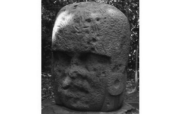 Недостроенная колоссальная голова Ла-Вента 3. Недостроенная колоссальная голова Ла-Вента 3.