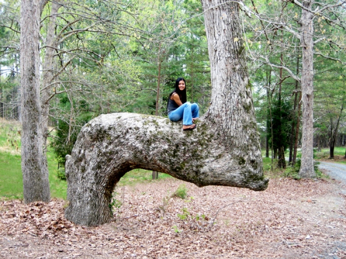 В заповеднике Ухари (Uwharrie), Северная Каролина. | Фото: ui.uncc.edu. В заповеднике Ухари (Uwharrie), Северная Каролина. | Фото: ui.uncc.edu.