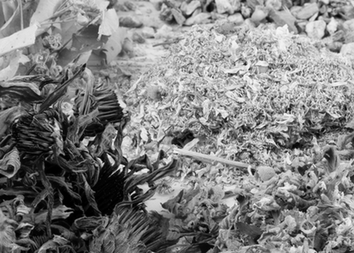 Лечение травами./ Фото: thewom.ru Лечение травами./ Фото: thewom.ru