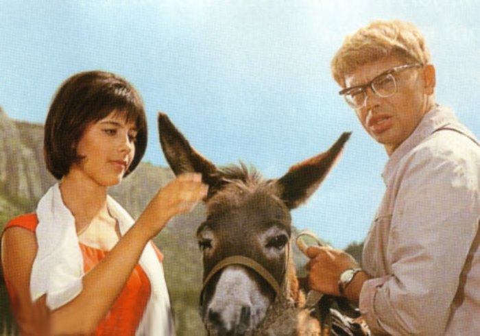 Наталья Варлей и Александр Демьяненко в фильме *Кавказская пленница*, 1966 | Фото: kino-teatr.ru Наталья Варлей и Александр Демьяненко в фильме *Кавказская пленница*, 1966 | Фото: kino-teatr.ru