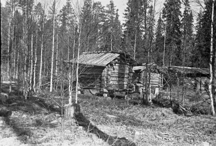 Фото М.М.Пришвина, сделанное во время путешествия на Пинегу. Фото М.М.Пришвина, сделанное во время путешествия на Пинегу.