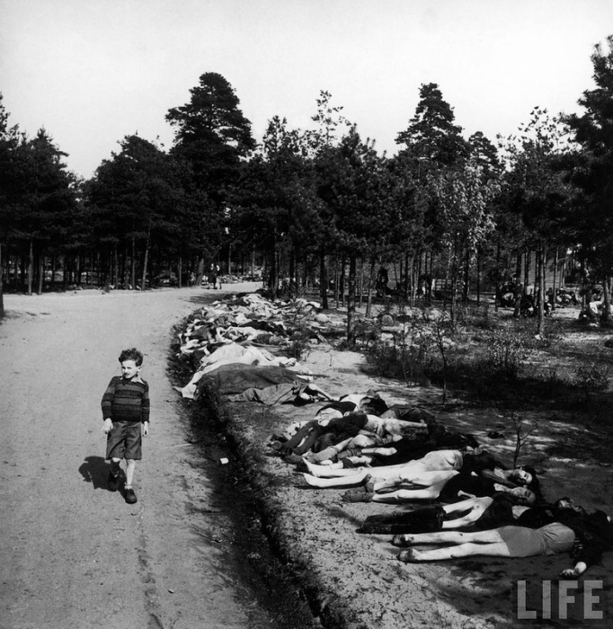 Прилегающий лес к лагерю смерти Bergen Belsen, 20 апреля 1945 Прилегающий лес к лагерю смерти Bergen Belsen, 20 апреля 1945