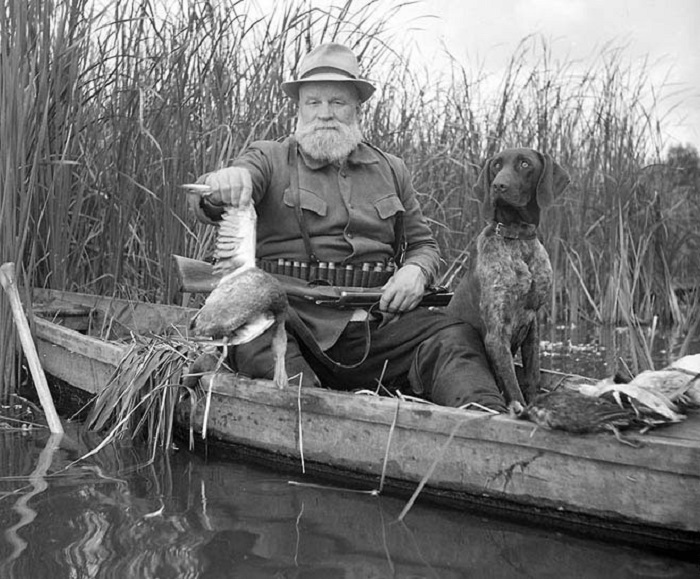 Охотник с подстреленной уткой в 1956 году. Охотник с подстреленной уткой в 1956 году.
