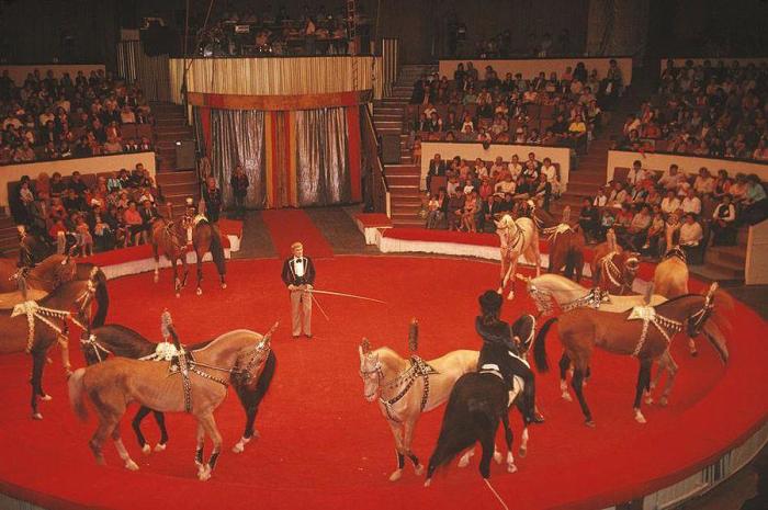 В донецком цирке. СССР, Донецк, 1988 год.