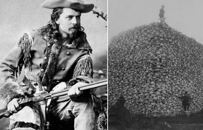 Уильям Фредерик Коди. Уильям Фредерик Коди.