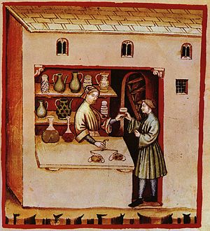 42-aspetti_di_vita_quotidiana,_medicine,Taccuino_Sanitatis,