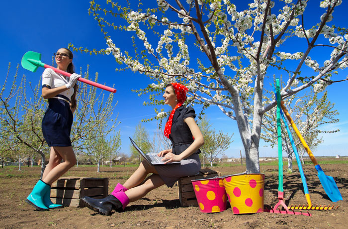 70lpdxbh3zlqp_1ox9umv