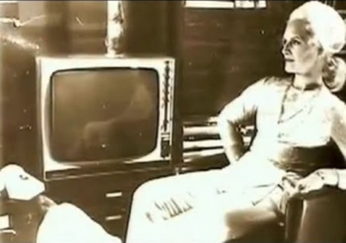 Популярная в 1960-х гг. манекенщица Валентина Яшина | Фото: fitbotan.ru Популярная в 1960-х гг. манекенщица Валентина Яшина | Фото: fitbotan.ru