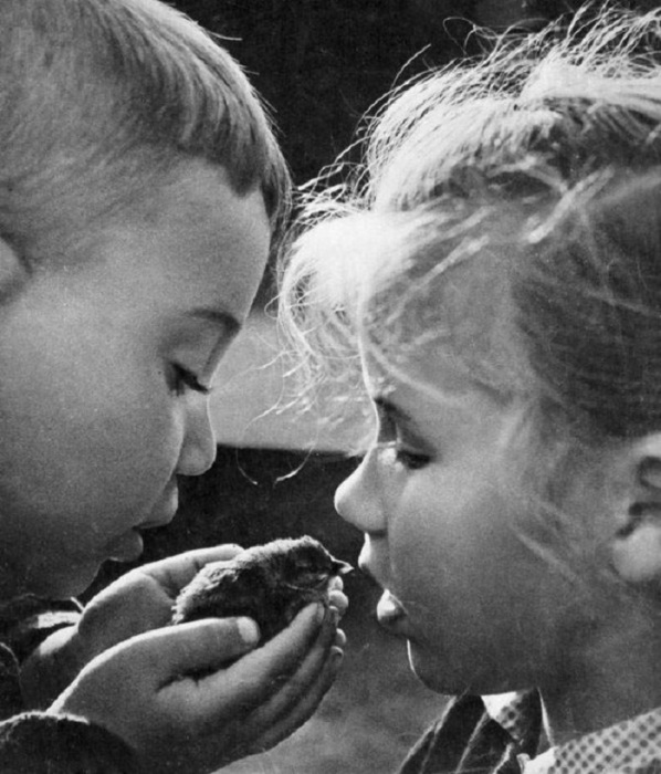 Нашли птенчика. Фотограф Юрий Приведенцев, 1964 год. Нашли птенчика. Фотограф Юрий Приведенцев, 1964 год.