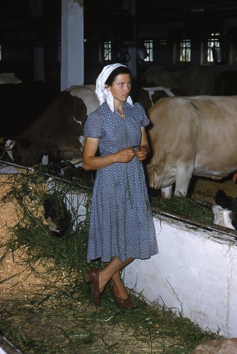 Нелегкая работа. Нелегкая работа.