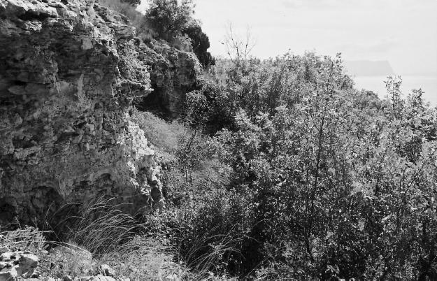 Остатки пещерных келий у Георгиевского монастыря Остатки пещерных келий у Георгиевского монастыря