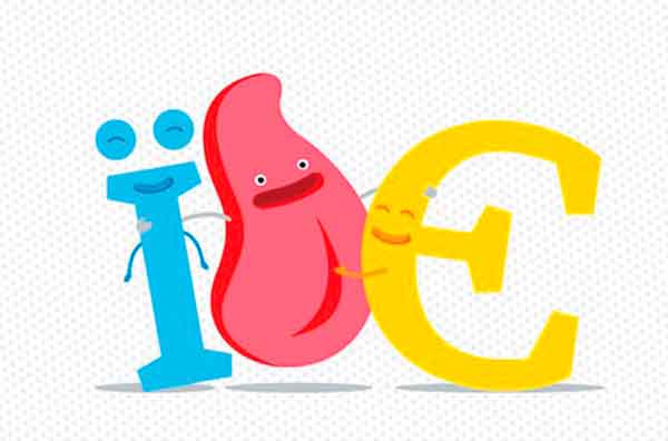 Миф № 4. Миф № 4.