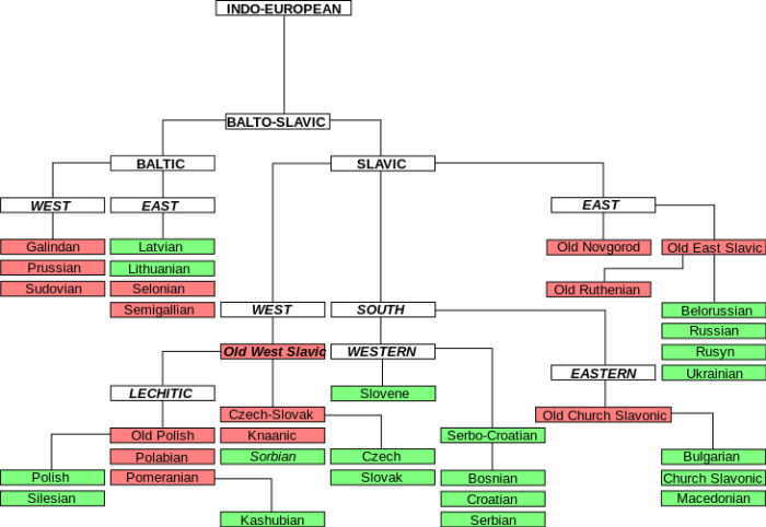 Балто-славянские языки./Фото: Slavanthro.mybb3.ru Балто-славянские языки./Фото: Slavanthro.mybb3.ru