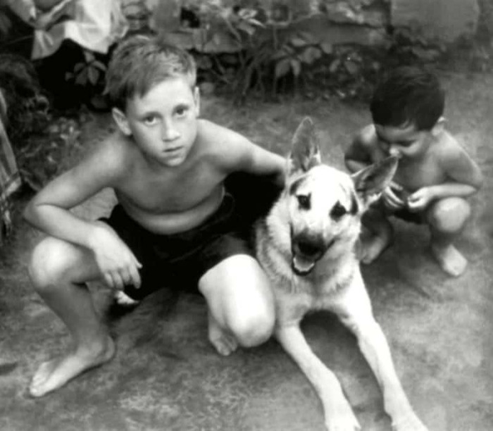 Владимир Высоцкий и овчарка Карат. УССР, Гайсин, 1950 год. Владимир Высоцкий и овчарка Карат. УССР, Гайсин, 1950 год.