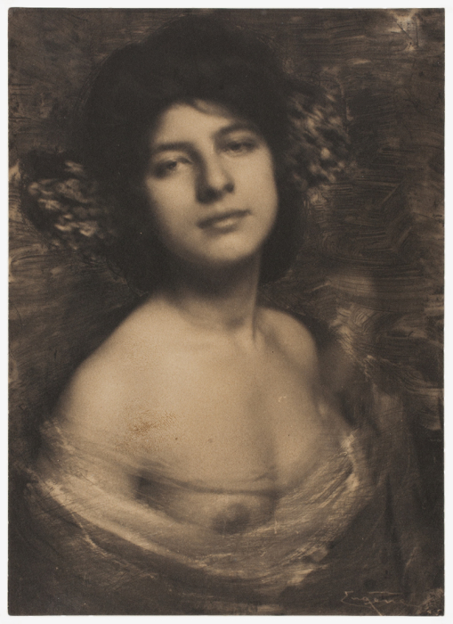 Гортензия, 1898 год. Автор: Frank Eugene. Гортензия, 1898 год. Автор: Frank Eugene.