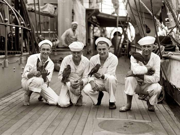 Матросы ВМС США и их питомцы. США, 1923 год. Матросы ВМС США и их питомцы. США, 1923 год.