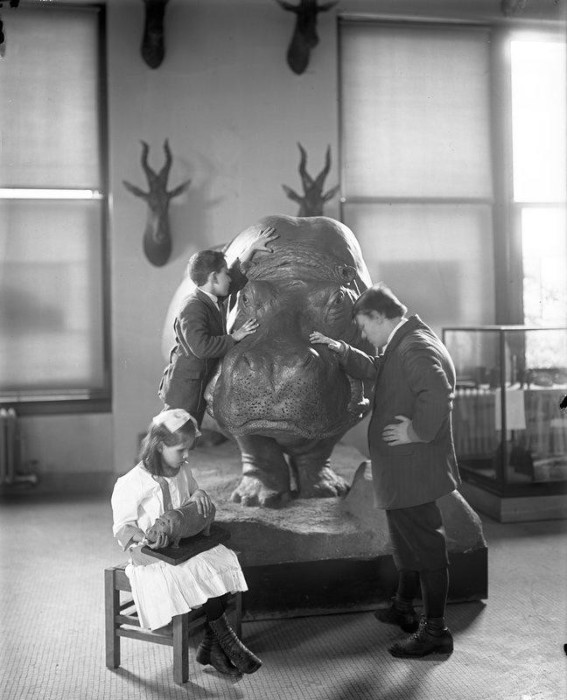 Слепые дети изучают гиппопотама в Американском Естественно–историческом музее в 1914 году. 