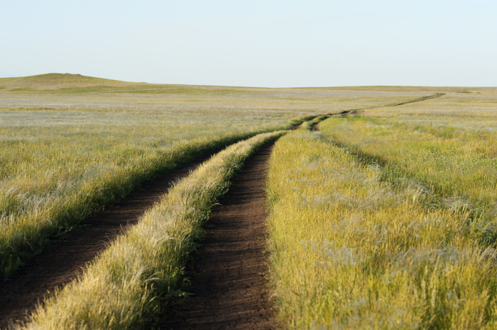 Степь где-то между Орском и Оренбургом. Степь где-то между Орском и Оренбургом.
