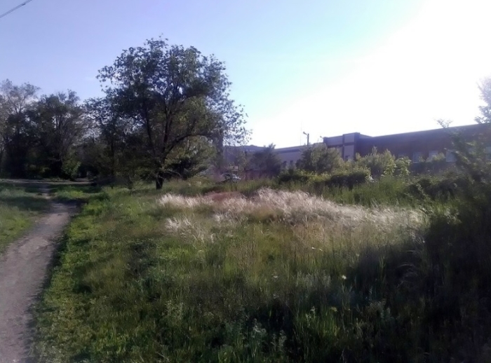 Орск. Кусочек степи в городе. Орск. Кусочек степи в городе.