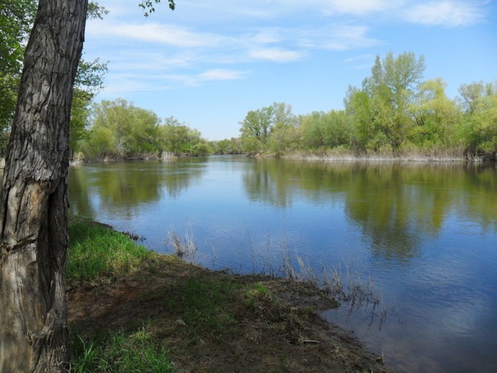Река Урал - третья по протяжённости река Европы. Река Урал - третья по протяжённости река Европы.