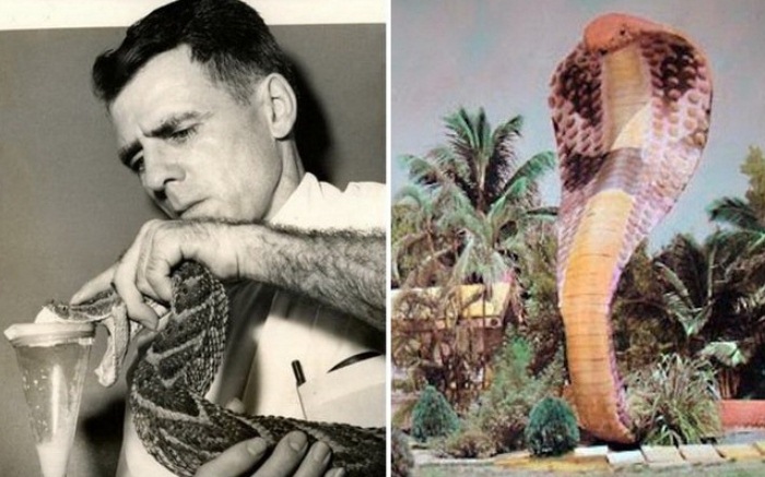 Серпентарий в Майами: амбициозный проект человека-змеи. Серпентарий в Майами: амбициозный проект человека-змеи.