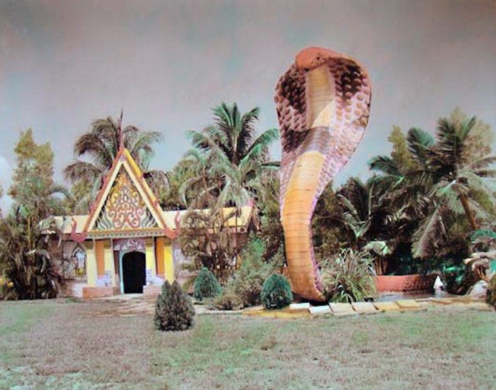 Гигантская розовая кобра у входа в серпентарий. Гигантская розовая кобра у входа в серпентарий.