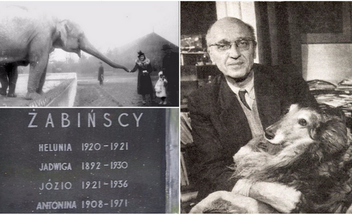Ян и Антонина Жабинские - поляки, которые спасали людей и животных в войну.