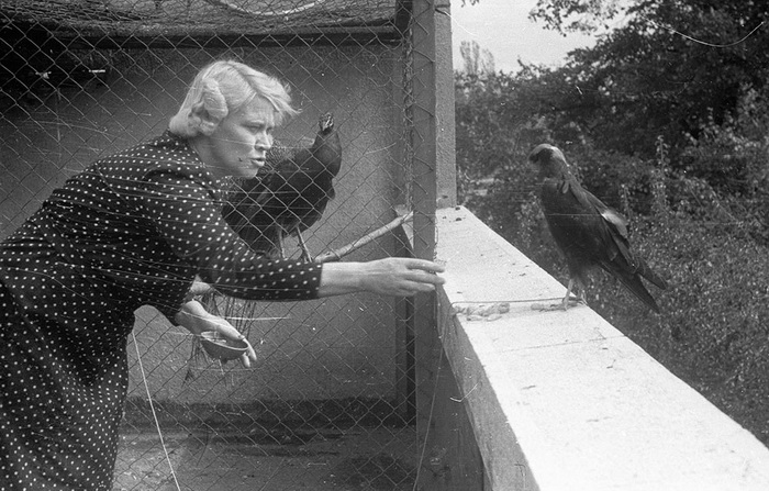 Антонина Жабинская кормит птиц в зоопарке.