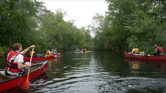 d503e13358f5931c19f126f2fc7b365d