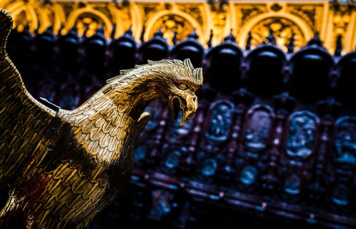 Мескита. Автор: Gauvin Lapetoule. Мескита. Автор: Gauvin Lapetoule.