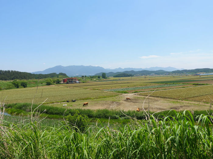 Южная Корея. Автор: Jacob Laukaitis. Южная Корея. Автор: Jacob Laukaitis.