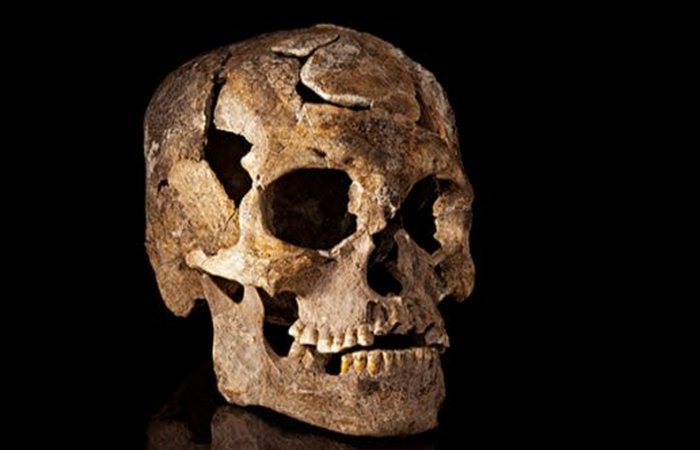 istorija-i-arheologija-10-drevnih-cherepov-kotorye_1_1