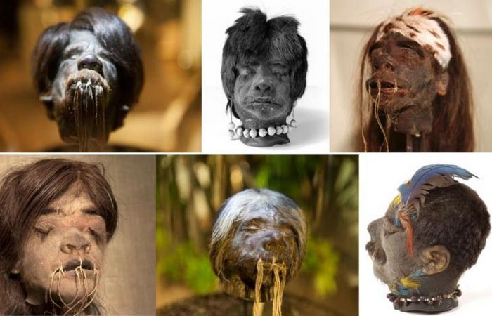 istorija-i-arheologija-10-drevnih-cherepov-kotorye_4_1