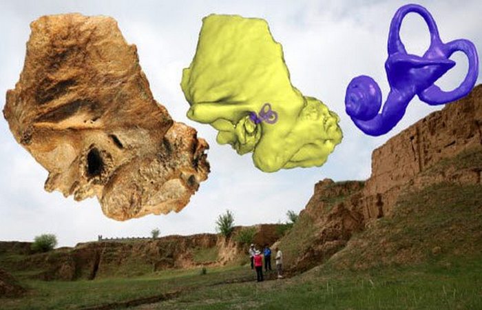 istorija-i-arheologija-10-drevnih-cherepov-kotorye_5_1