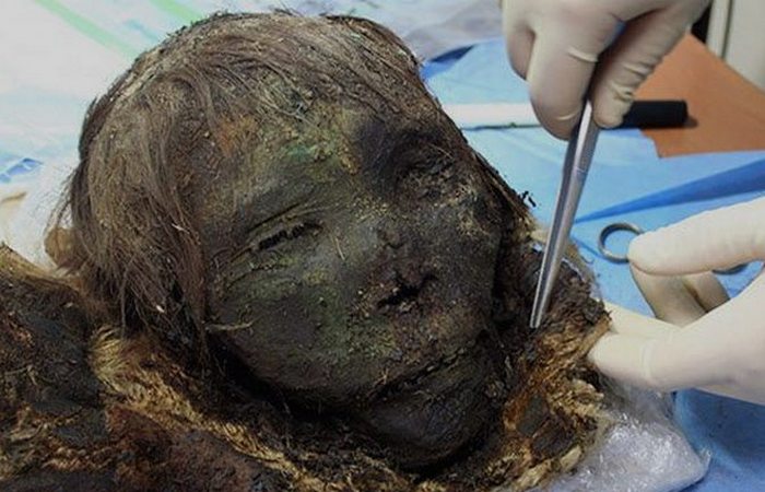 istorija-i-arheologija-10-drevnih-cherepov-kotorye_6_1