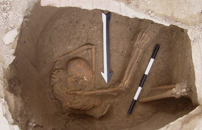 istorija-i-arheologija-10-drevnih-cherepov-kotorye_7_1