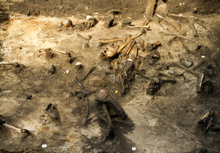 Археологические раскопки массового захоронения в Дании. | Фото: alkenenge.dk. Археологические раскопки массового захоронения в Дании. | Фото: alkenenge.dk.