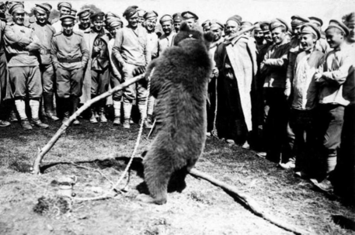 Мишка, живой талисман, развлекает солдат. | Фото: portal-kultura.ru. Мишка, живой талисман, развлекает солдат. | Фото: portal-kultura.ru.