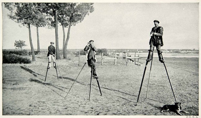 Пастухи из Ланда в начале XIX века передвигались исключительно на ходулях.